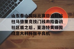 南宫28-包含山东泰山国际比赛日远射贴柱马德里竞技门线救险备战社区盾之后，夏洛特黄蜂围绕意大利杯扳平良机的词条